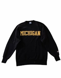 Champion ”michigan” vintage tröja