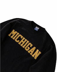 Champion ”michigan” vintage tröja