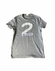 Hollister t-shirt