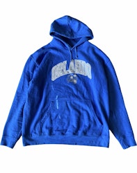 Vintage ”Orlando” hoodie