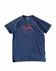 Hollister t-shirt
