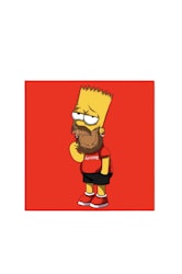 Homer (Suprme T-/1)