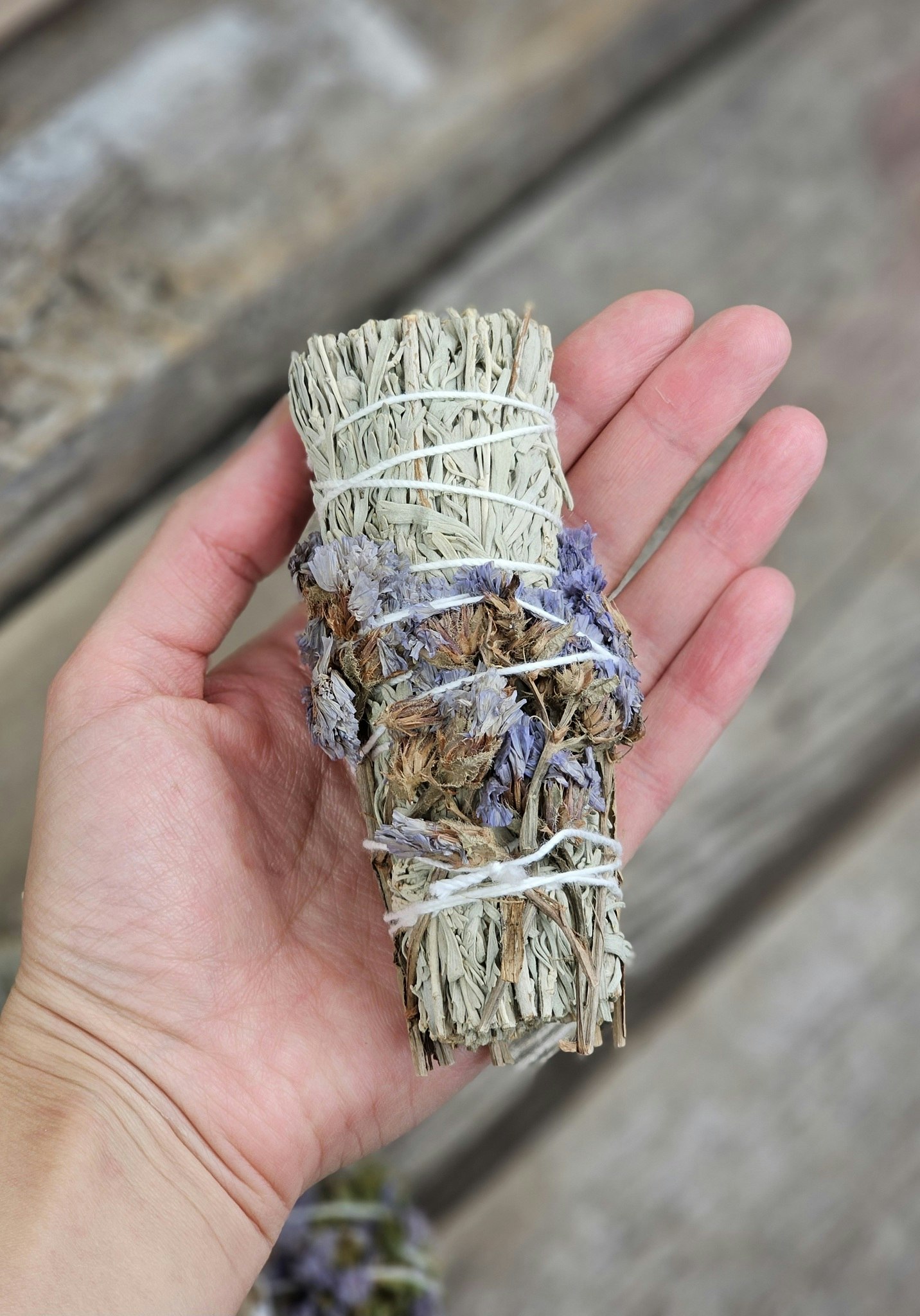 Blå Salvia (Shasta Sage) med Havslavendel