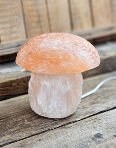 Himalaya Saltkristall, lampa svamp