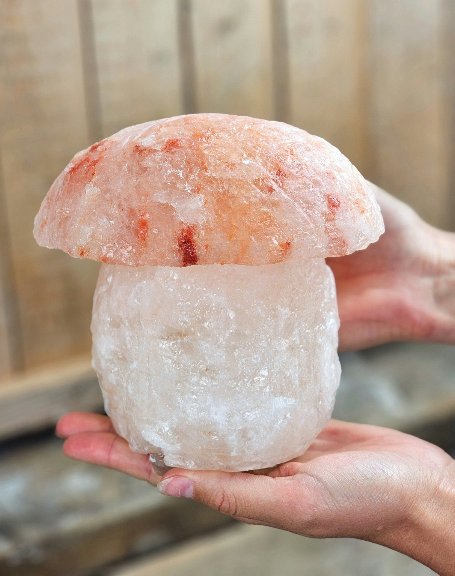 Himalaya Saltkristall, lampa svamp