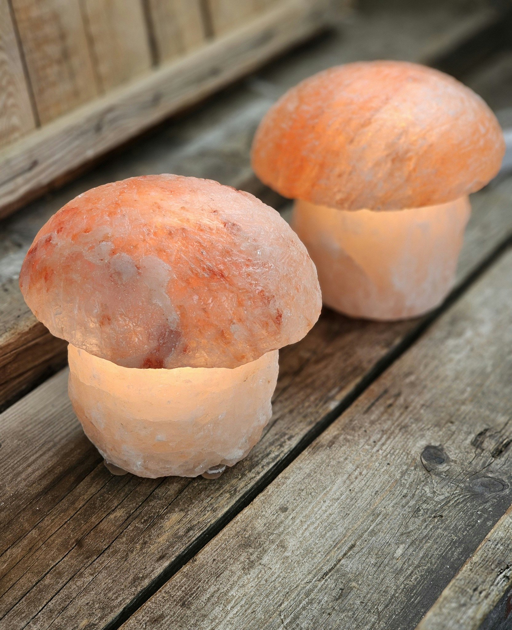 Himalaya Saltkristall, lampa svamp