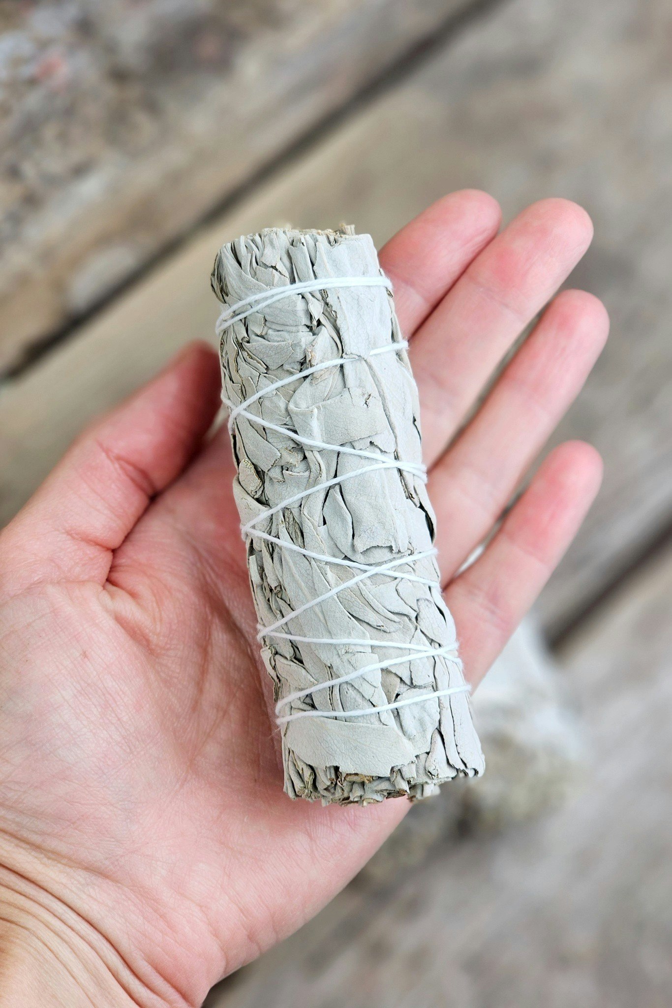 Vit Salvia
