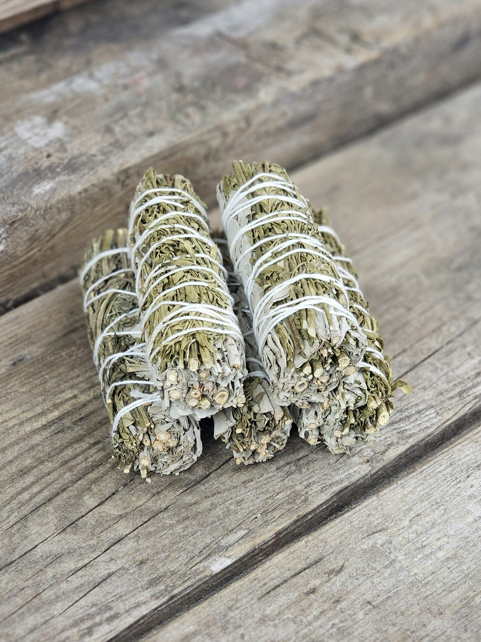 Vit Salvia med Vinruta (Ruda Rue)