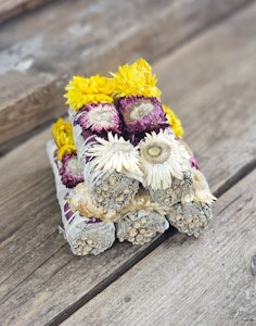 Vit Salvia med Halmblomma