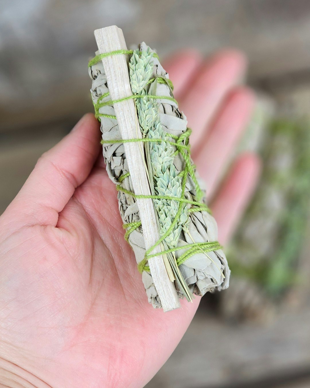 Vit Salvia med Mastix & Kanariegräs