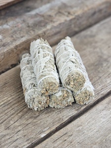 Vit Salvia i kombination med Blå Salvia (Shasta Sage)