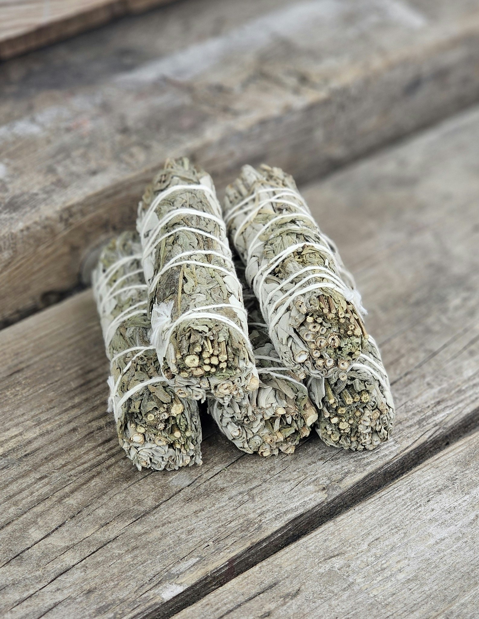 Vit Salvia i kombination med Mugwort