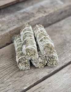 Vit Salvia i kombination med Mugwort