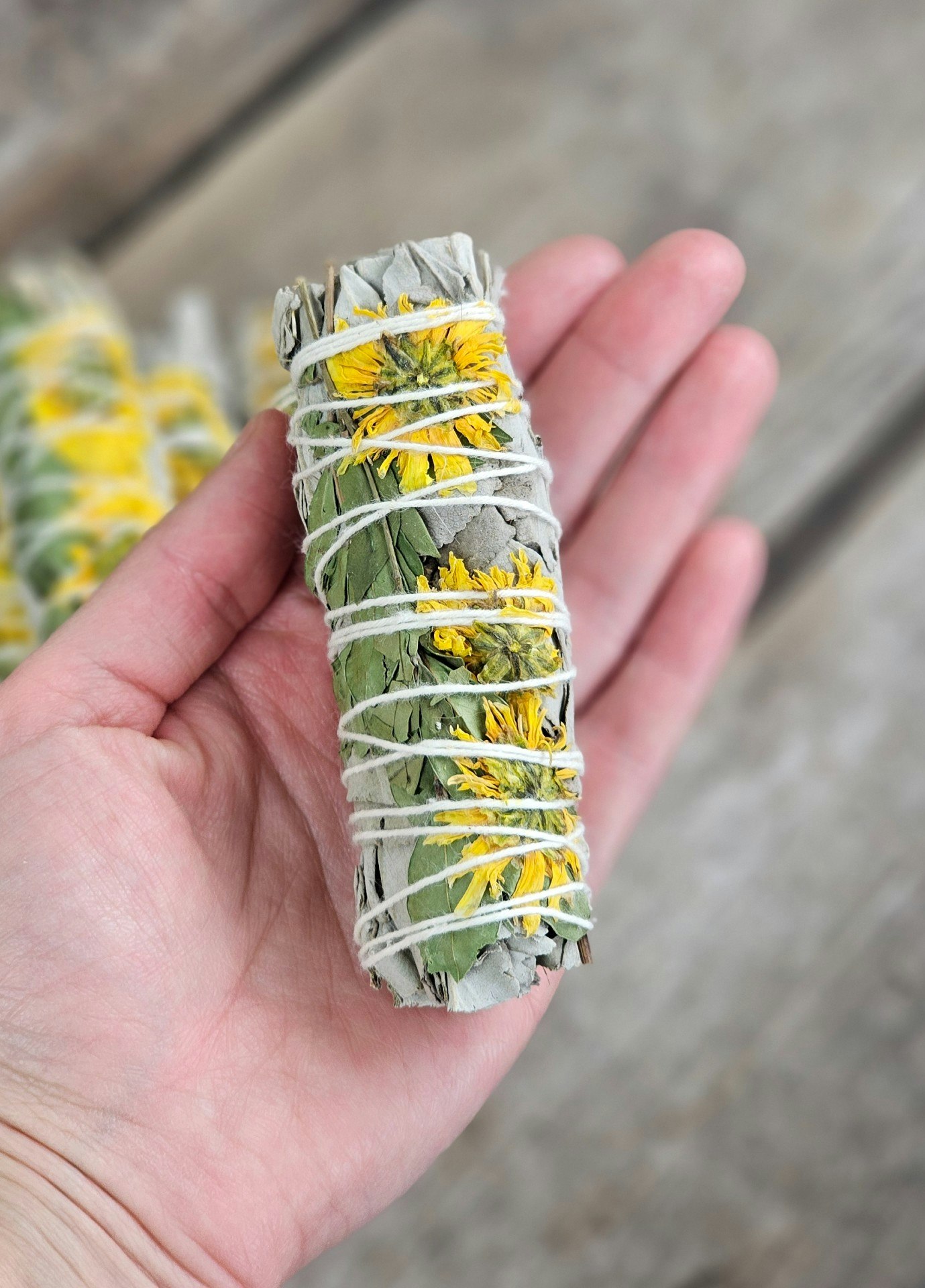 Vit Salvia med Solros