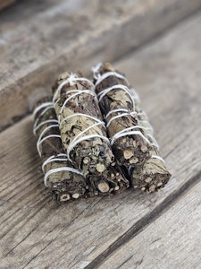 Svart Salvia, bunt (Black Sage)