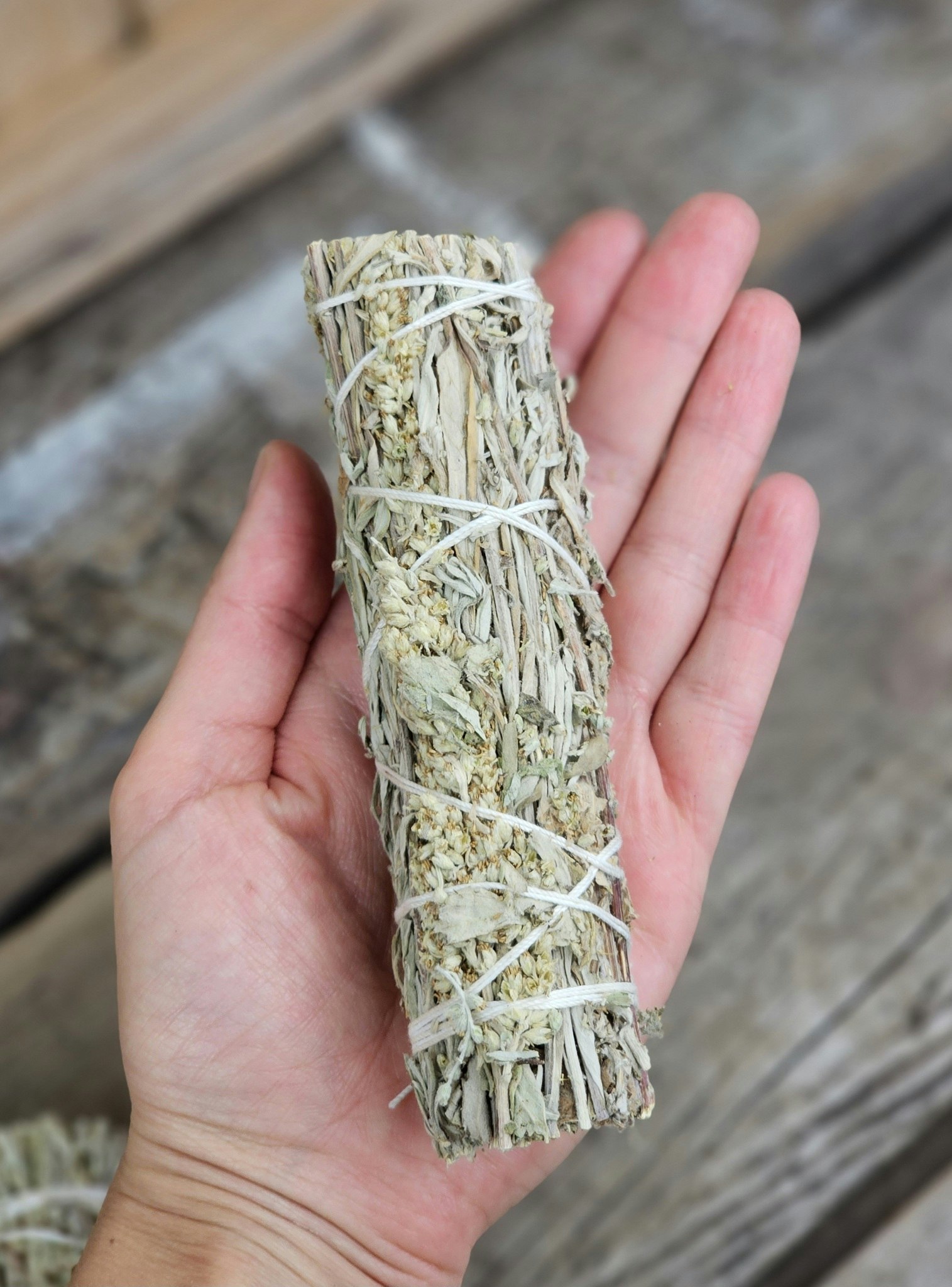 Mugwort, bunt