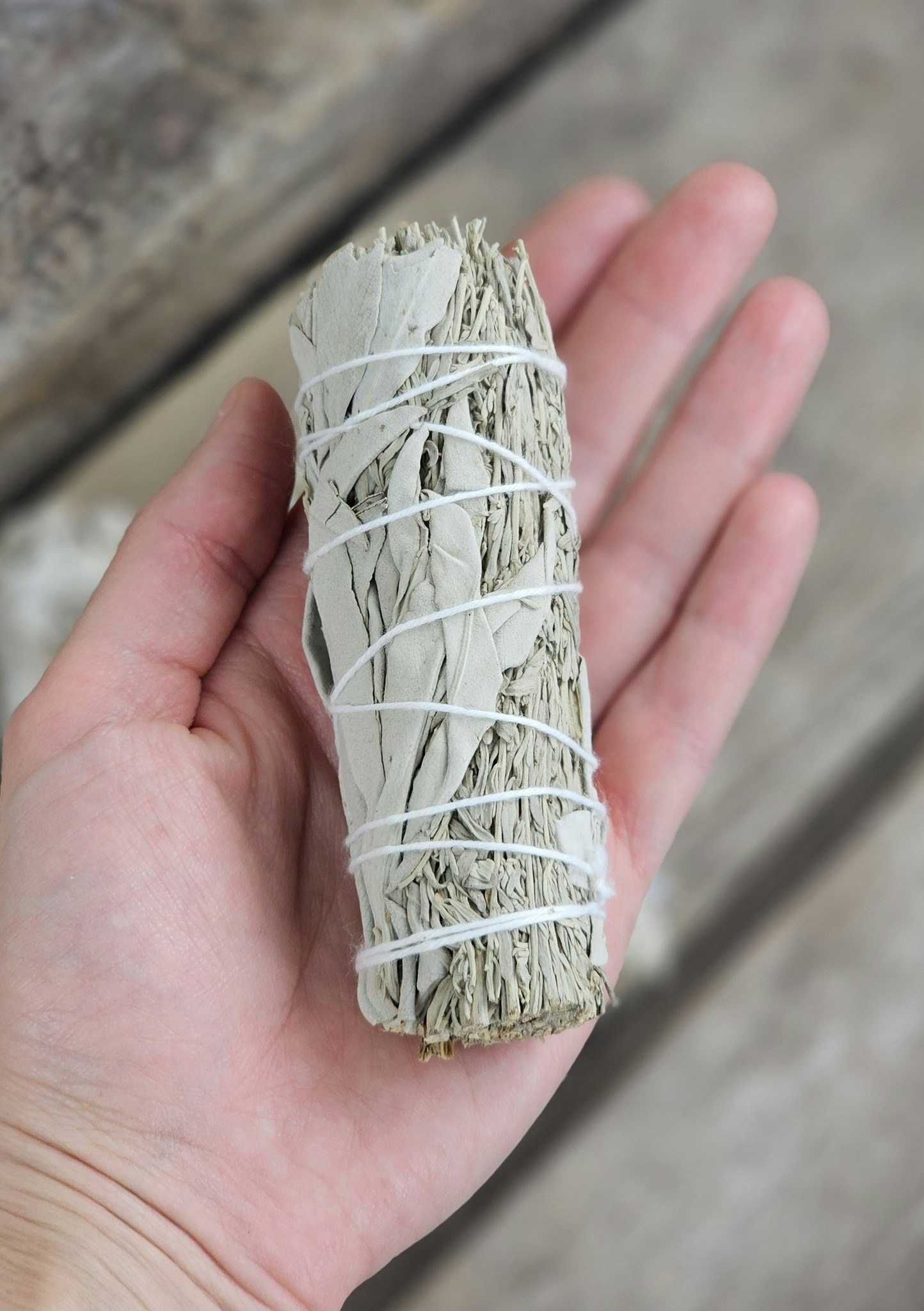 Vit Salvia i kombination med Blå Salvia (Shasta Sage)