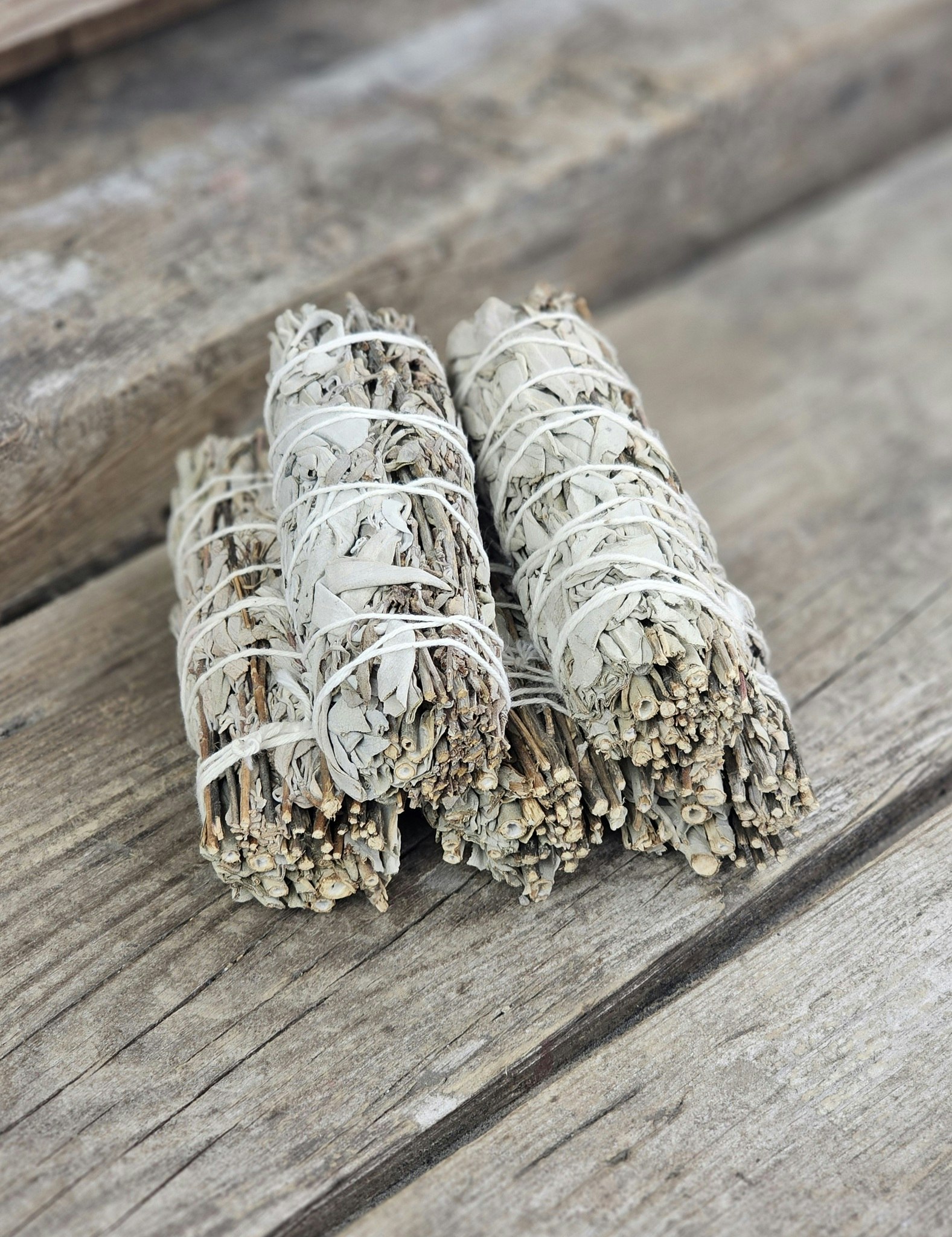 Vit Salvia i kombination med Royal Sage
