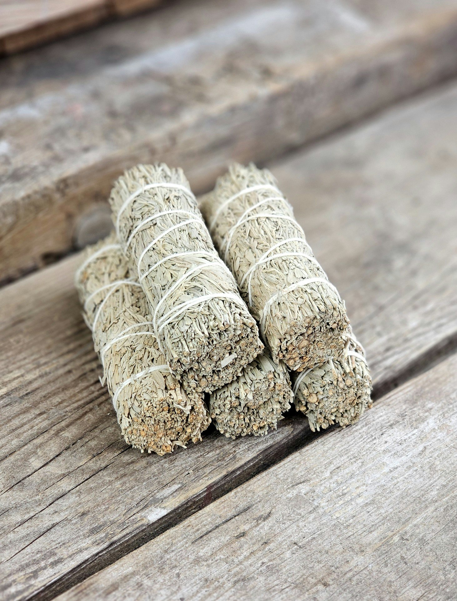 Blå Salvia (Shasta Sage) i kombination med Copal