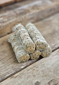 Blå Salvia (Shasta Sage)