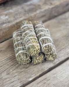 Lavendel, bunt