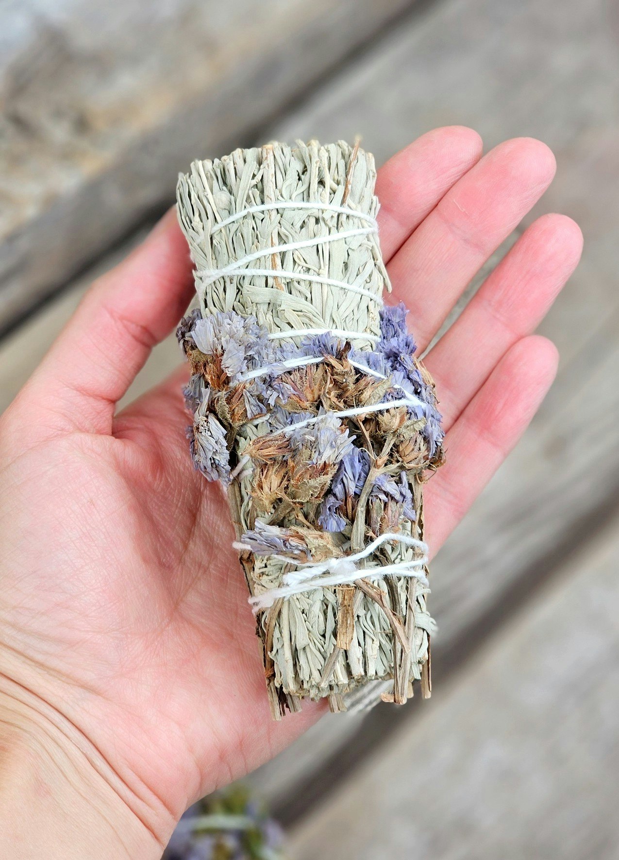 Blå Salvia (Shasta Sage) med Havslavendel