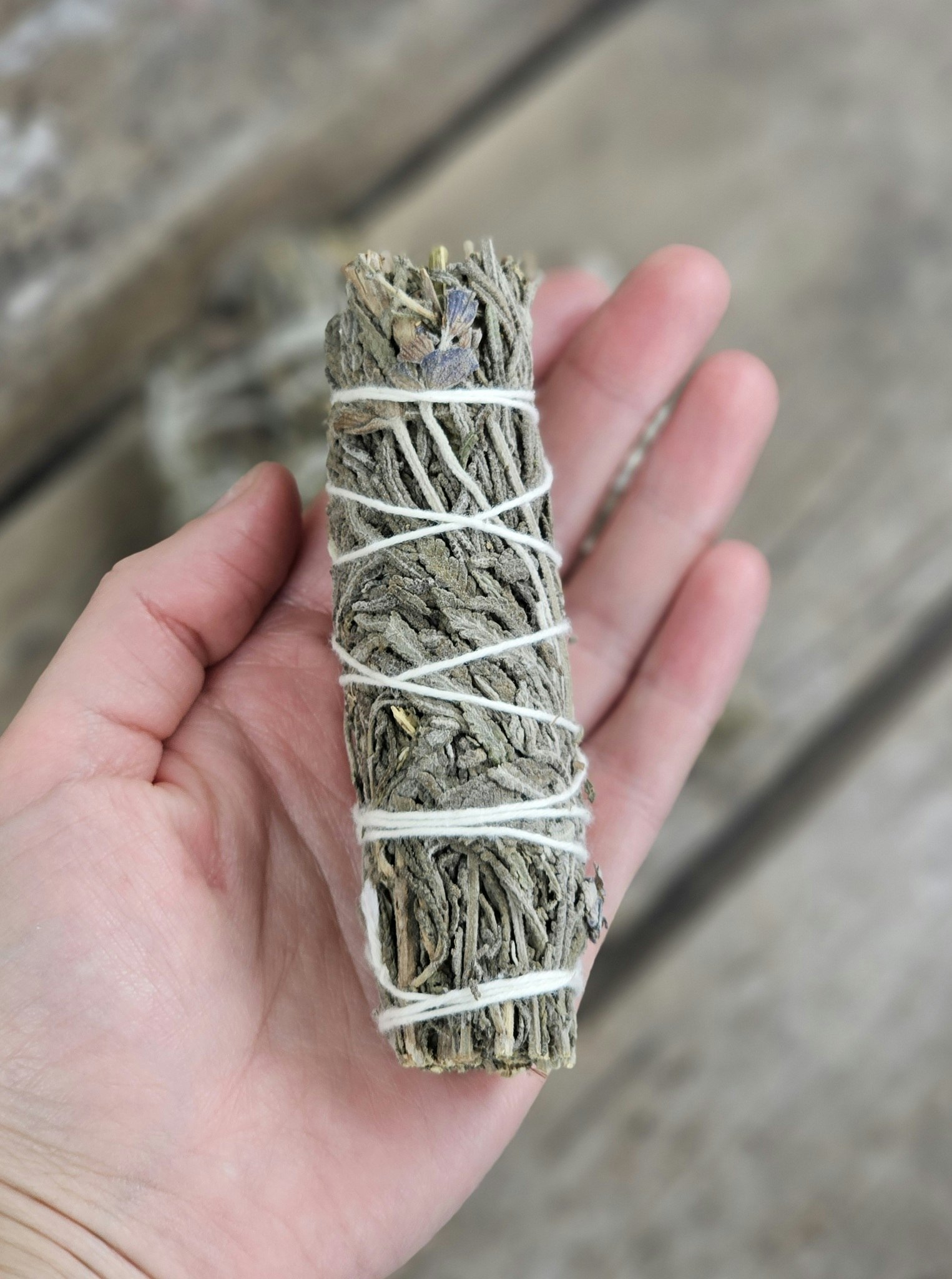 Lavendel, bunt