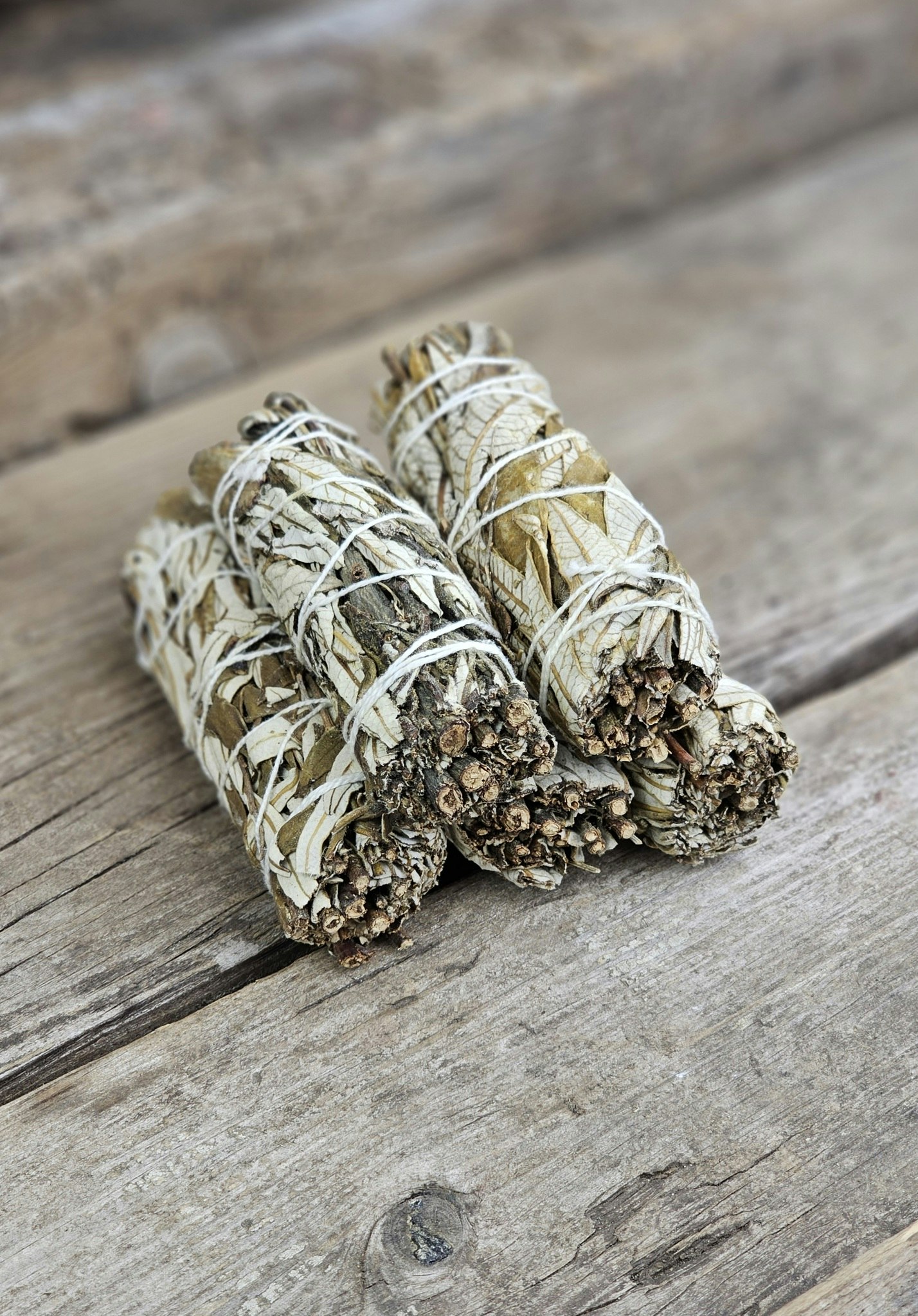 Yerba Santa (Helig ört)