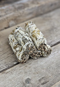 Yerba Santa (Helig ört)