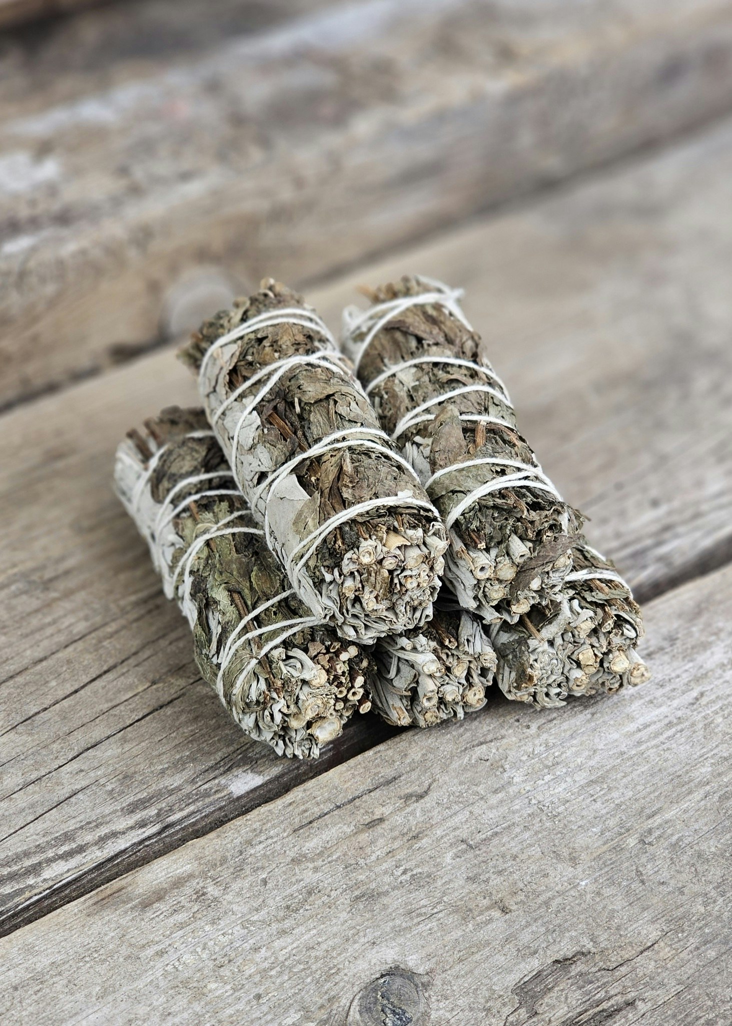 Vit Salvia med Pepparmynta