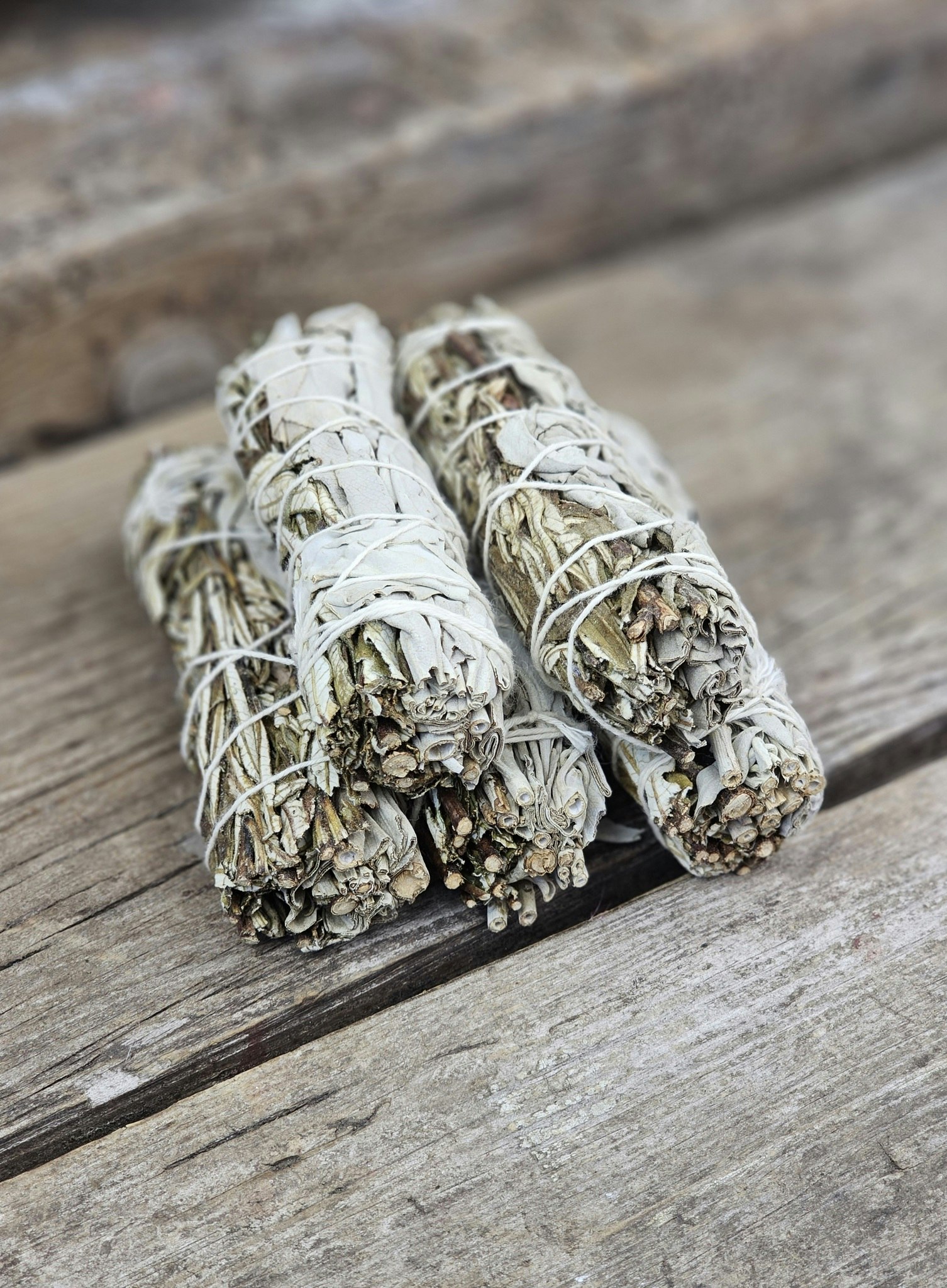 Vit Salvia i kombination med Yerba Santa