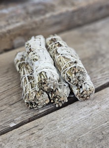 Vit Salvia i kombination med Yerba Santa