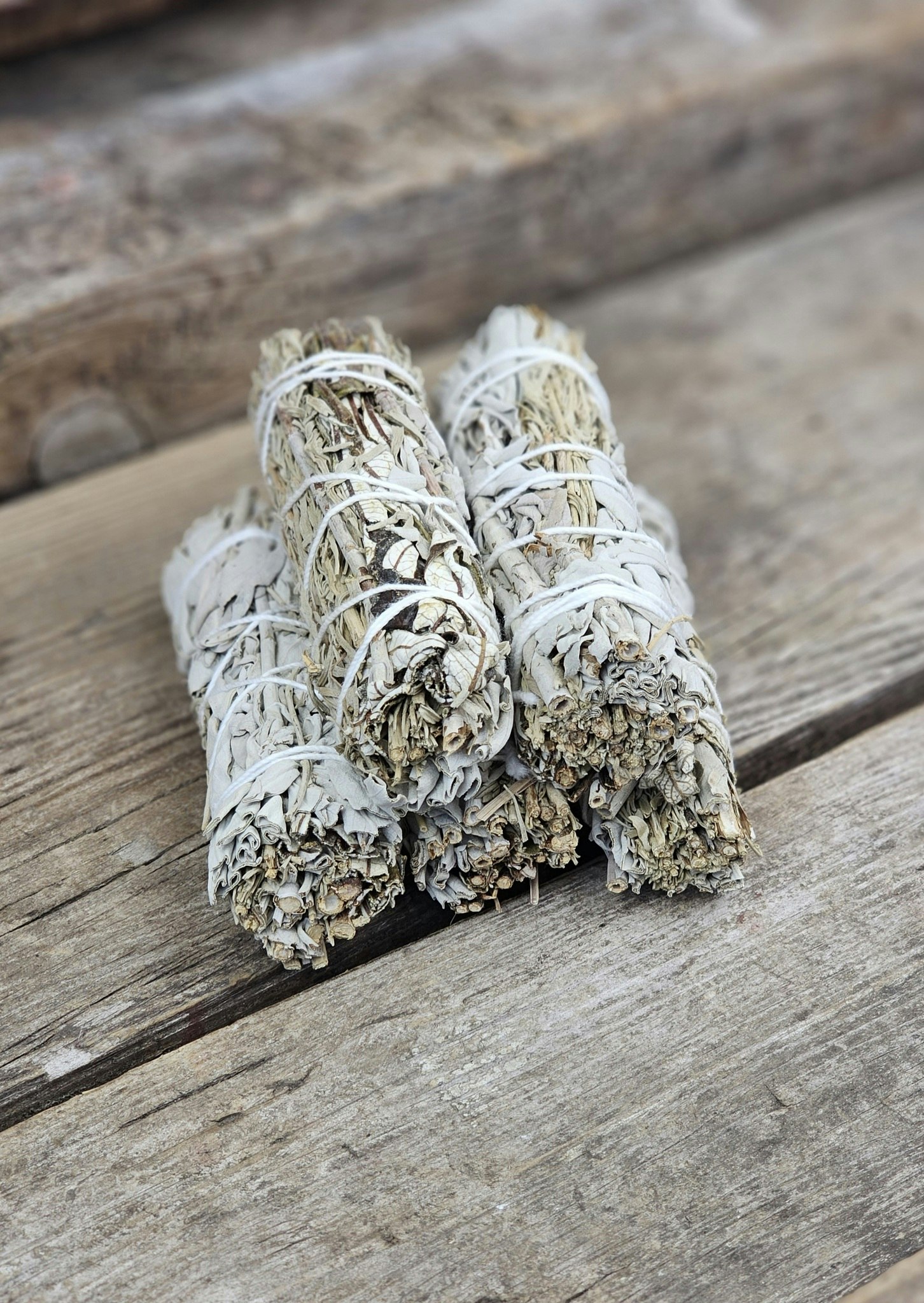 Vit Salvia i kombination med Blå Salvia (Shasta Sage) & Yerba Santa
