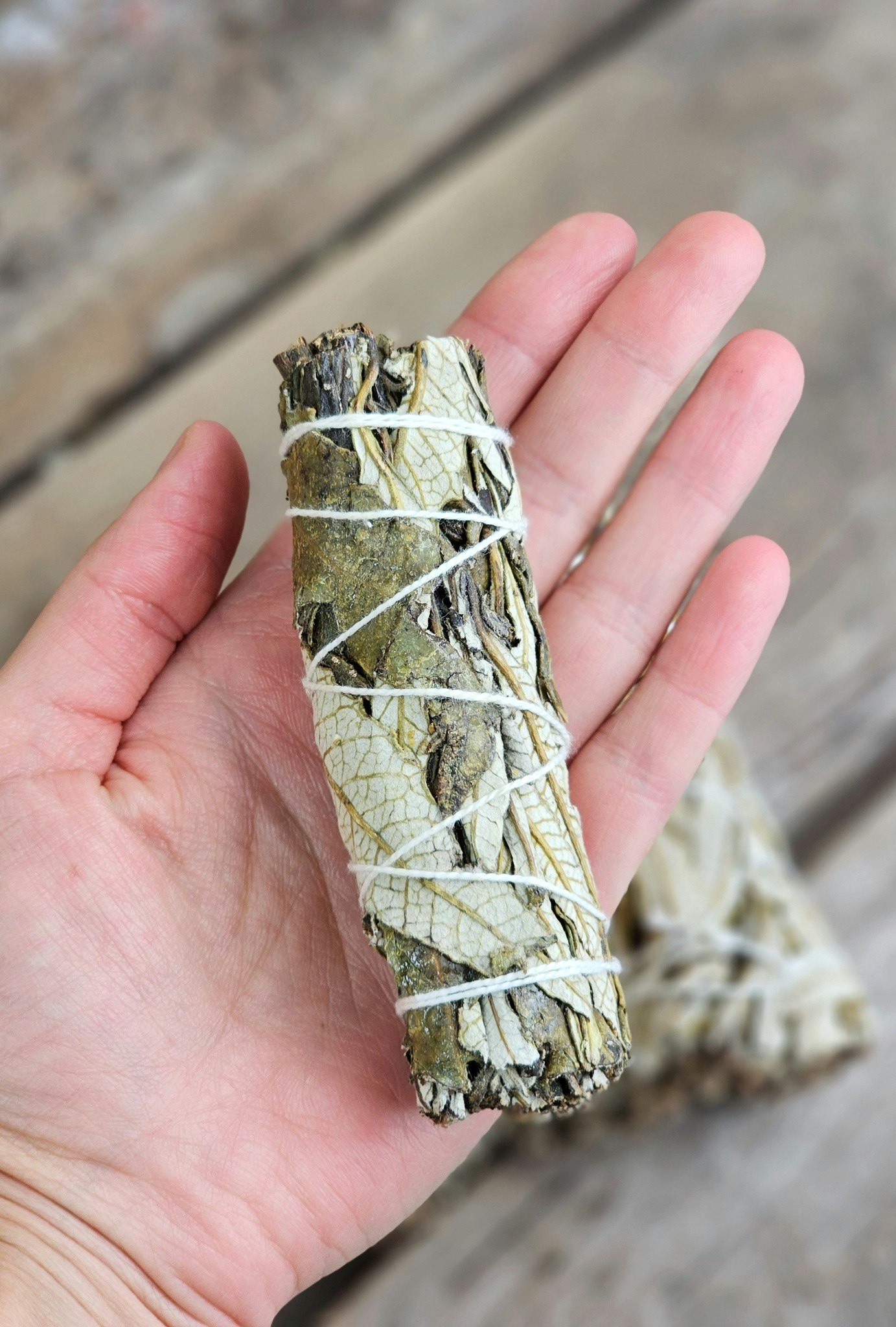 Yerba Santa (Helig ört)