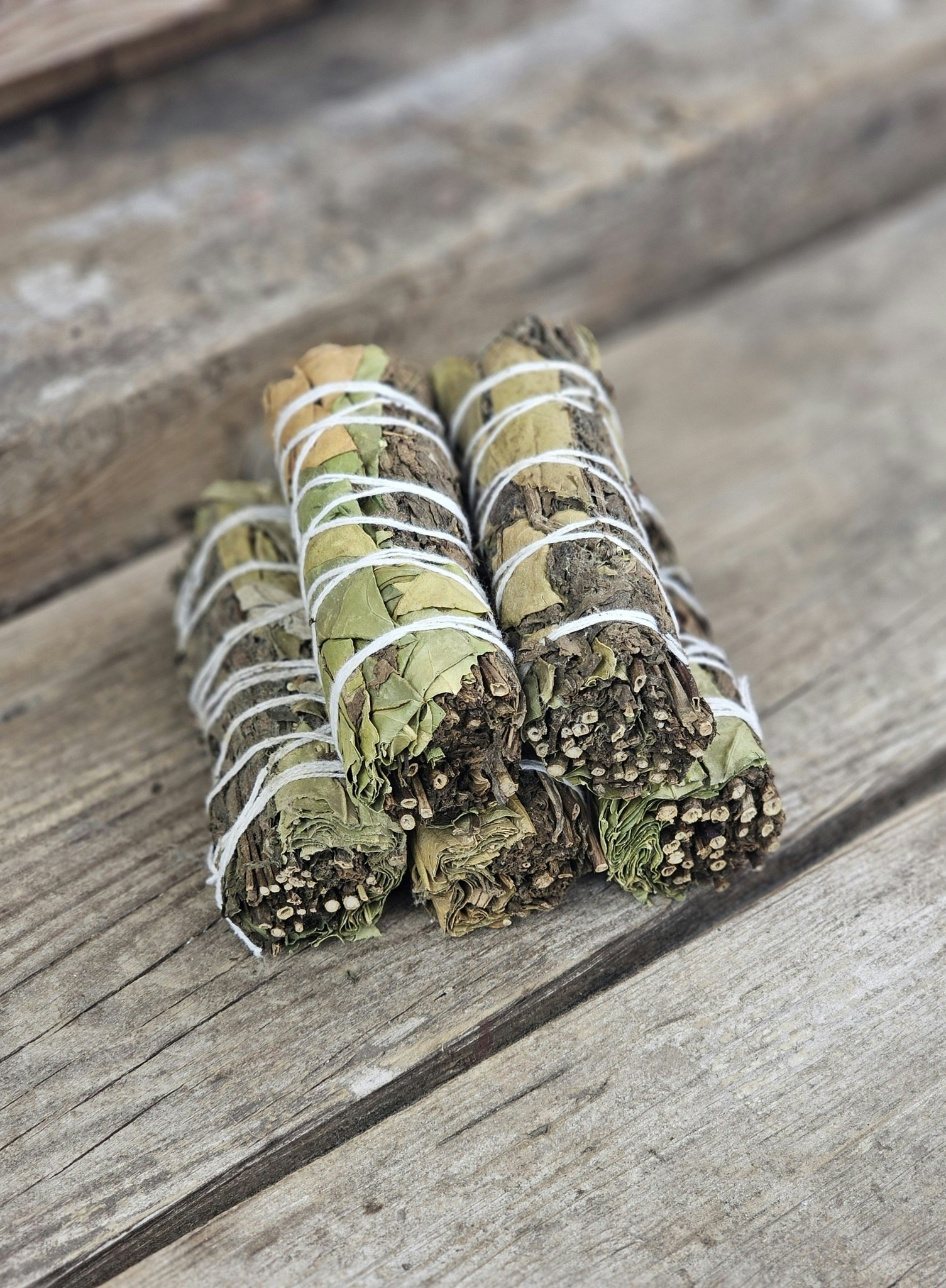 Citronmeliss & Pepparmynta, bunt