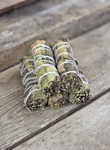 Citronmeliss & Pepparmynta, bunt