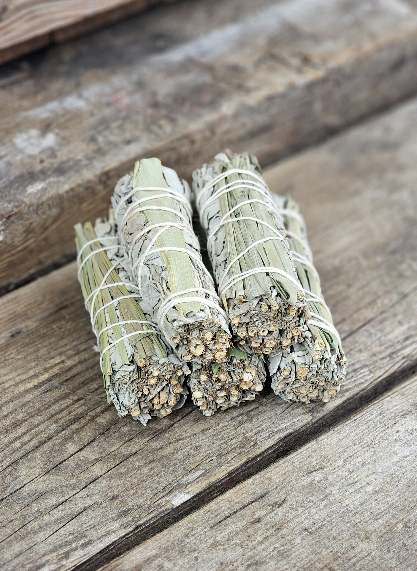 Vit Salvia med Citrongräs