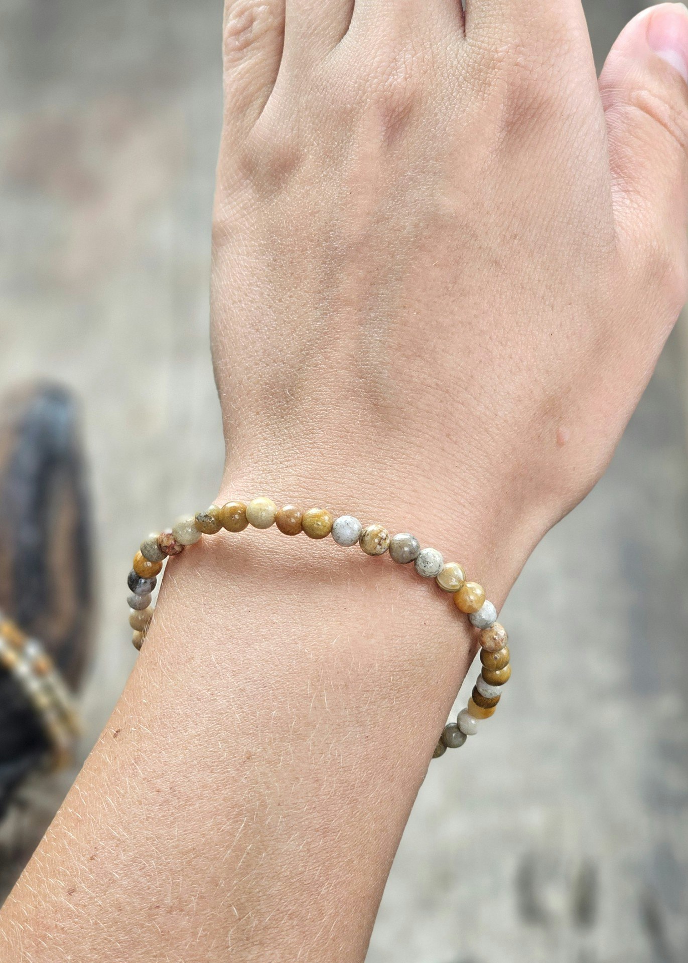 Korall Fossil, armband 4mm runda pärlor