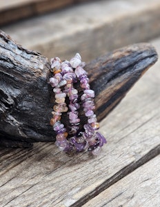 Auralite 23, chipsarmband