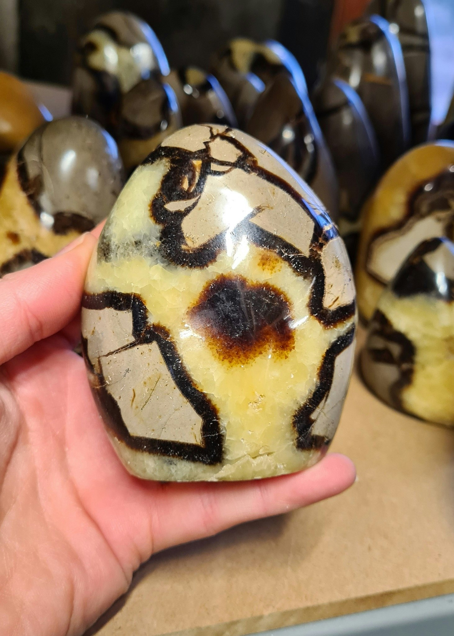 Stående friform polerad Septarian / Draksten (per 500 gram)