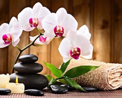 Relax, Orchide och svarta stenar