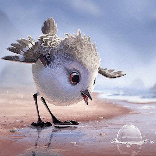 Fågel på strand