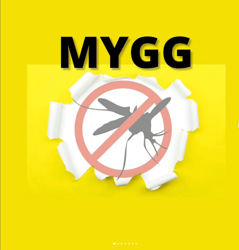 Vi har observert årets første mygg🦟