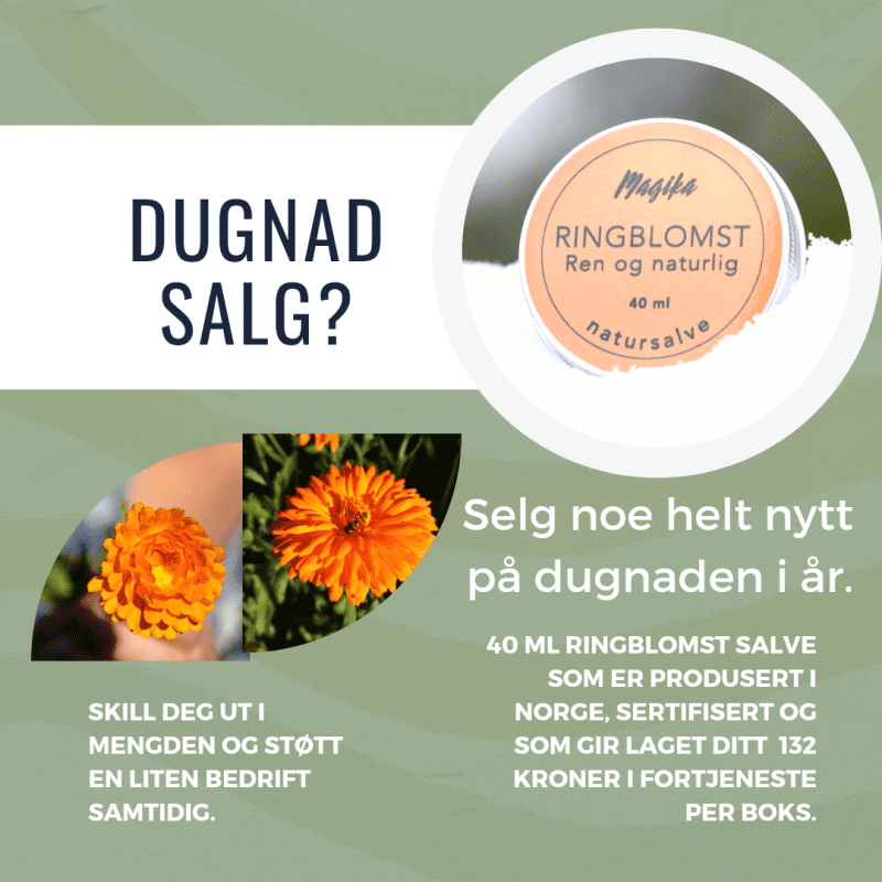 Endelig en dugnad med god fortjeneste.