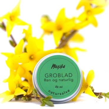 Groblad salve 20 ml