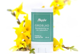 Groblad stift
