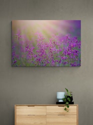 Blomstereng