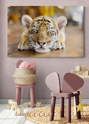 Tiger baby