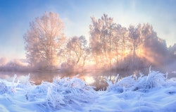 Vinter