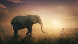 Jente på tur med elefant
